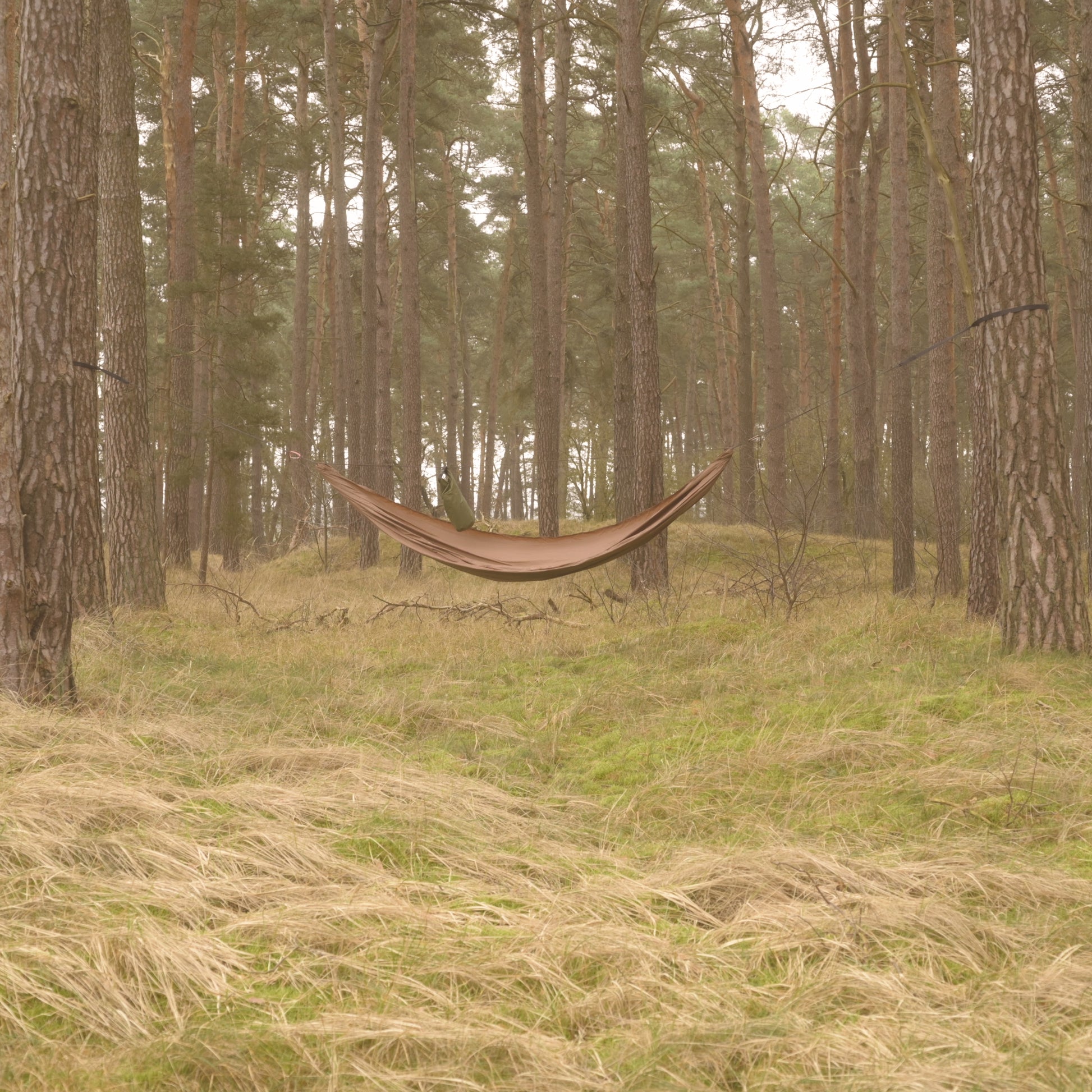 hängematte im wald erlaubt Jungle-V.I.P.-Hängematte – Waldgeist