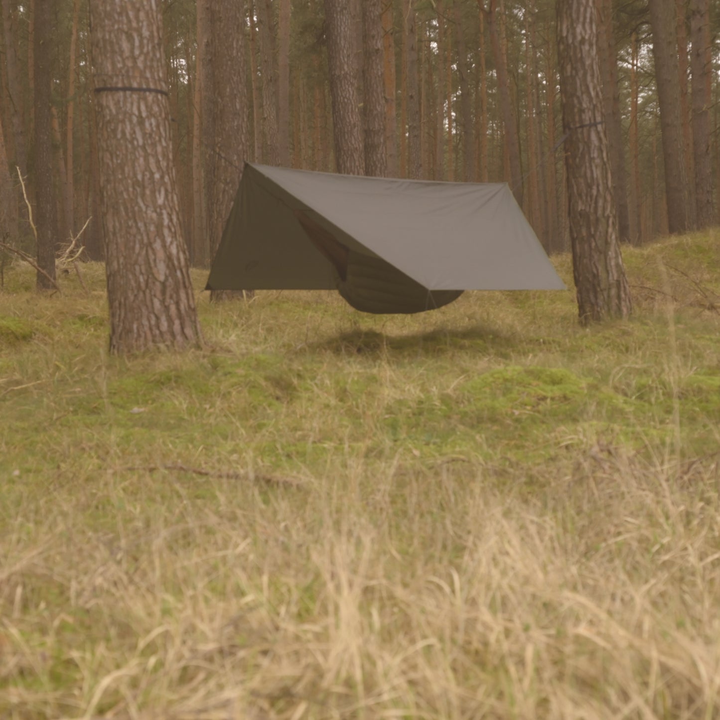 Waldgeist Tarp Vagabund