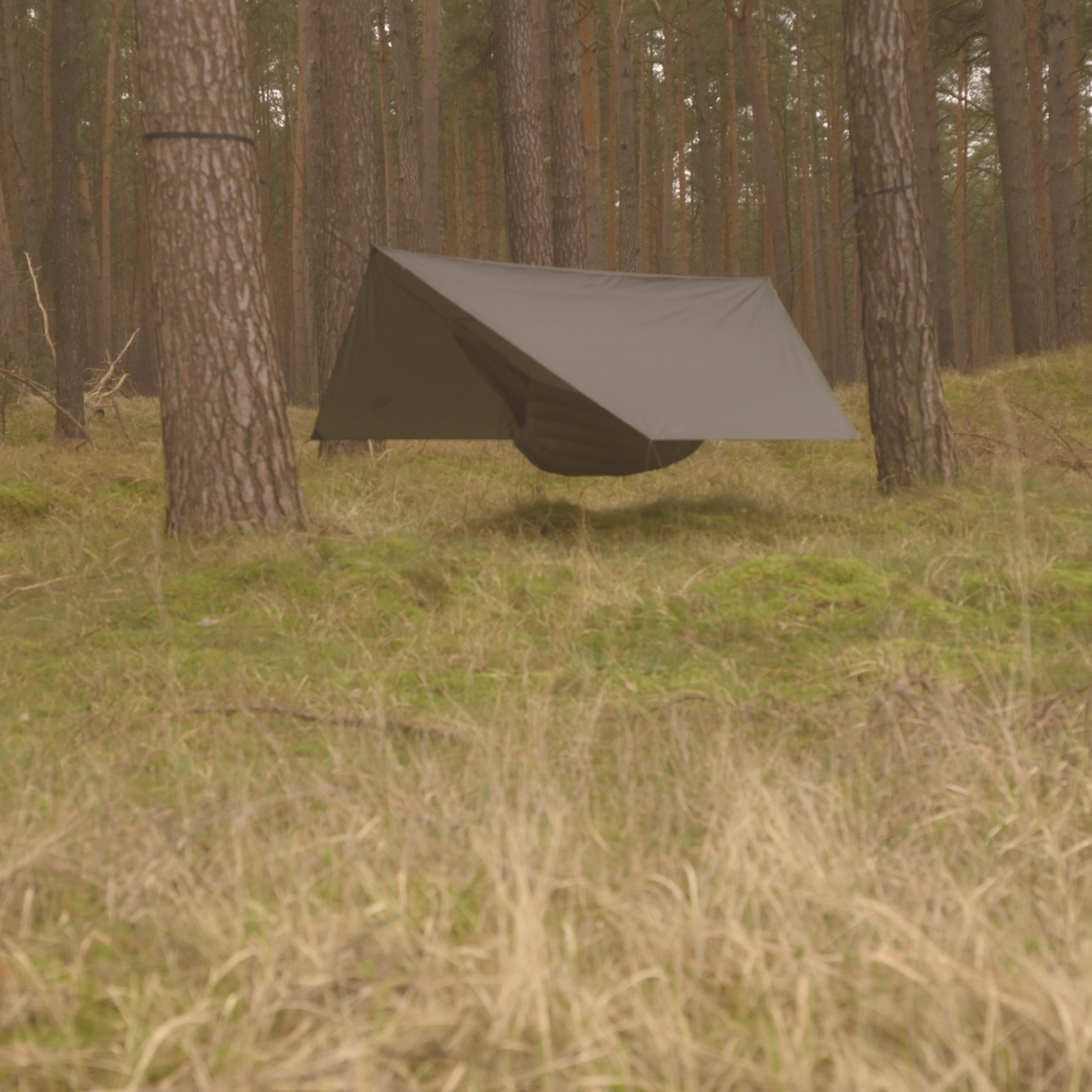 tarp im wald erlaubt Waldgeist Tarp Vagabund